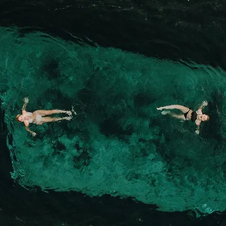 ليهينريديل واغراين